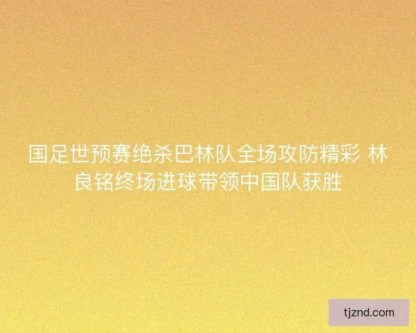 国足世预赛绝杀巴林队全场攻防精彩 林良铭终场进球带领中国队获胜