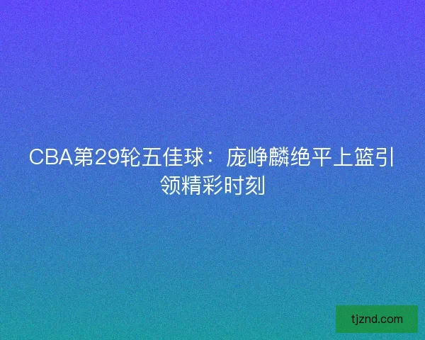 CBA第29轮五佳球：庞峥麟绝平上篮引领精彩时刻
