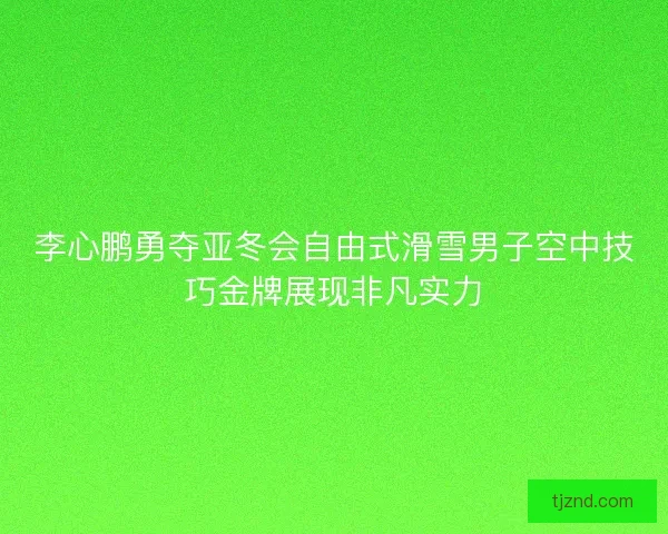 李心鹏勇夺亚冬会自由式滑雪男子空中技巧金牌展现非凡实力